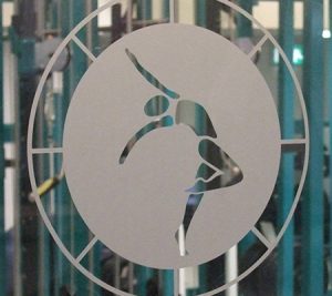 Window Display Graphics