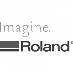 Roland Logo Signage Bishops Stortford